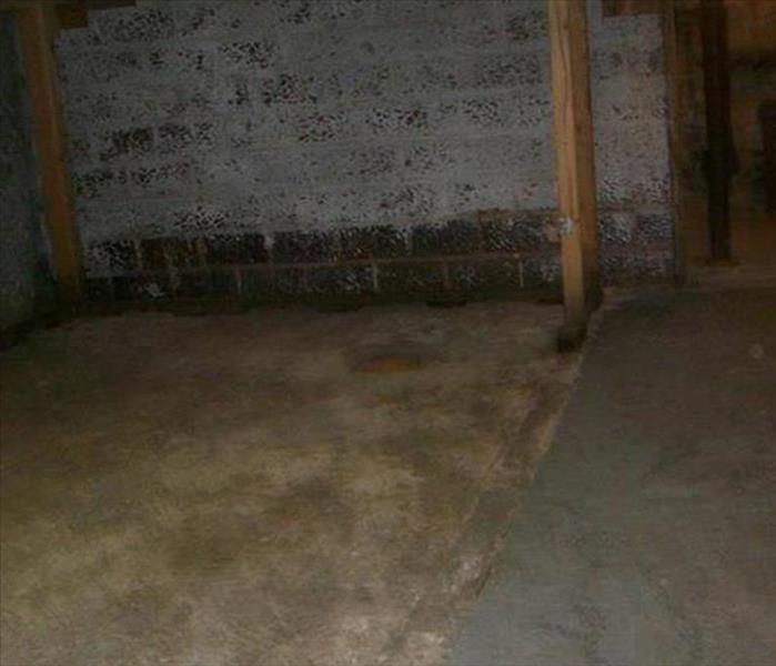 Basement with brick walls and cement floor