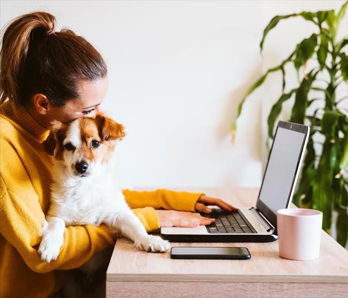 A woman and dog looking at a computer. 